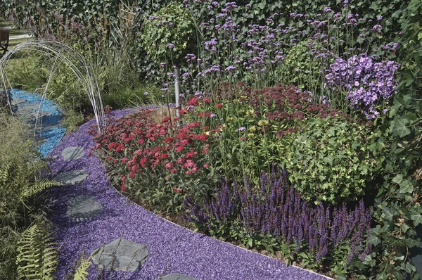 Borde Colorido Flores Con Astilbes Verbens Salvia Hierbas Jardín Urbano — Foto de Stock