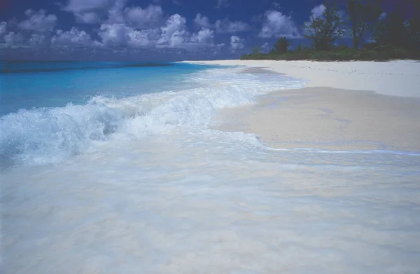 Vista Playa Sobre Isla Aves Isla Seychelles Isla África Oriental — Foto de Stock