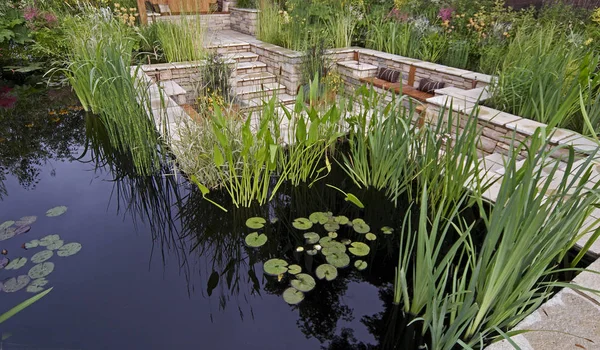 Kolorowy ogród z wodą dysponuje letnim domem i egzotycznymi — Zdjęcie stockowe