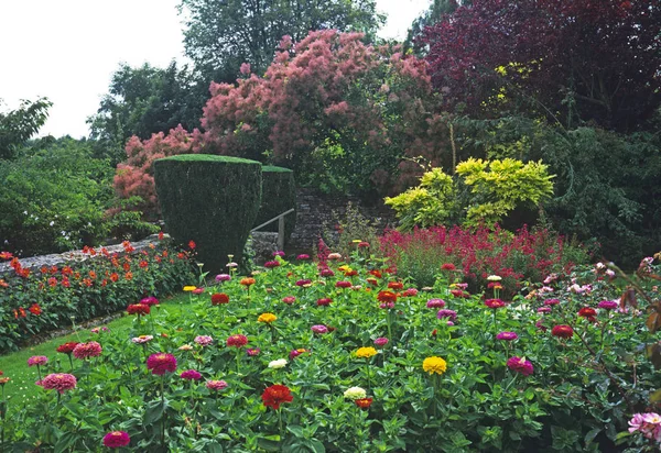 Farbenfrohe Ausstellung von Zinnien und Dahlien auf dem Bauernhof — Stockfoto