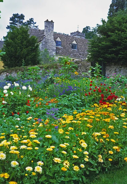 Exibição floral colorida em um jardim da cozinha — Fotografia de Stock