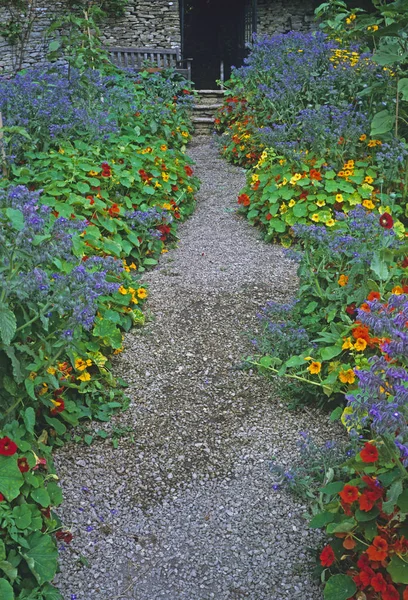 Pestrá výsadba Borage a Nasturtium v kuchyňské zahradě — Stock fotografie