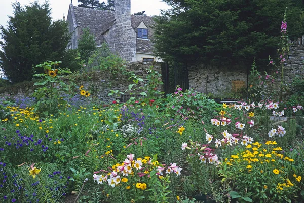 Piantagione mista colorata di fiori in un orto — Foto Stock