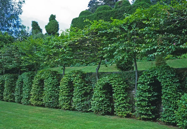 Uma vista de um jardim com terraços com arcos topiários — Fotografia de Stock