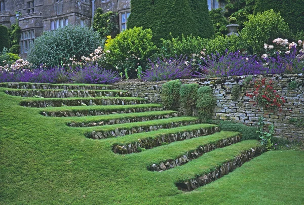 Escalones de hierba con un borde de flores que crecen a lo largo de la terraza i — Foto de Stock