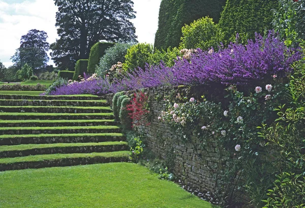 Grass steps with a border of flowers growing along the terrace i — Stock Photo, Image