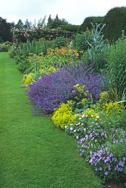 Bordure herbacée colorée dans un jardin de maison de campagne — Photo