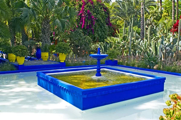 Jardín Majorelle, Marrakech, Marruecos , — Foto de Stock