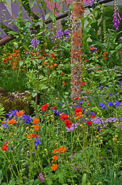 Färgglada blandade planterade blomma gränsen, äng inklusive Dahlias, — Stockfoto