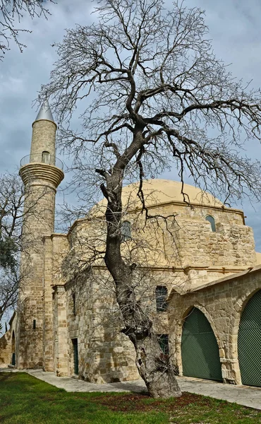 Meczet Hala Sultan Tekke, Larnaka, Cypr. — Zdjęcie stockowe