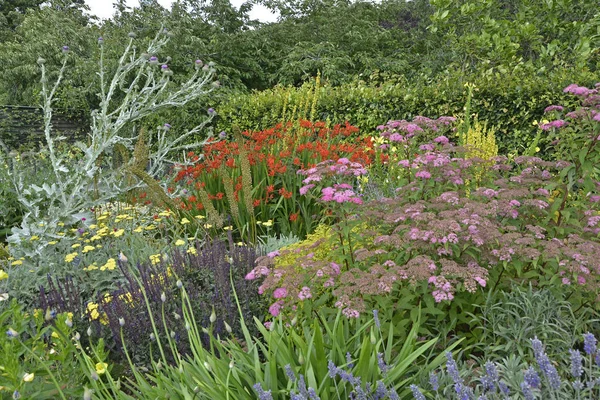 Pestrá květinová hranice s Lavandula, Crocosmia, skotskou Thistle — Stock fotografie