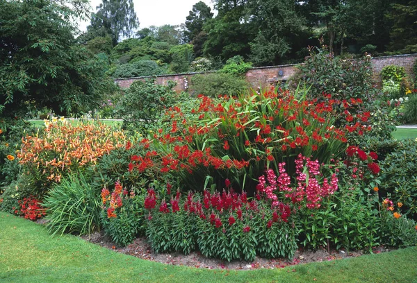 Frontera roja de flores con crocosmia, penstemon y antirrrinum en un jardín rural —  Fotos de Stock