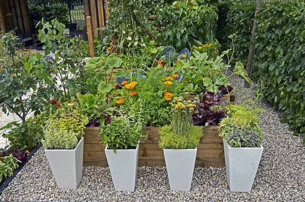 A decorative herb and vegetable garden with planted containers