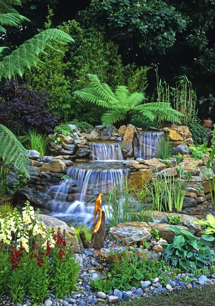 Cascada y piscina de roca, jardín acuático, helechos y plantación colorida — Foto de Stock