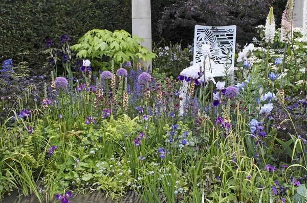 A garden designed to capture the vibrancy of the Dawn Chorus — Stock Photo, Image