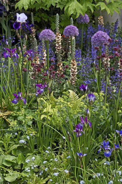 Un giardino progettato per catturare la vivacità del Coro dell'Alba — Foto Stock