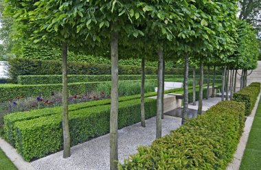 A classical garden with an avenue of yew, box and hornbeam leading to a water feature clipart