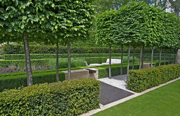 A classical garden with an avenue of yew, box and hornbeam leading to a water feature — Stock Photo, Image