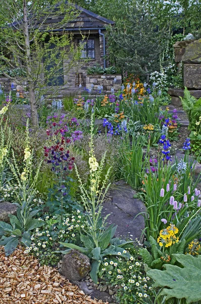 Venkovská zahrada země nachází v zalesněném skalek s barevným displejem květin — Stock fotografie