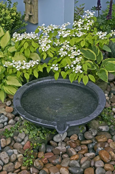 Egy kis, vízzel is felszerelt udvari kert részletei — Stock Fotó
