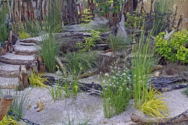 Un jardin balnéaire relaxant avec 'Dichromena colorata' fleurissant parmi les herbes et le bois flotté récupéré — Photo