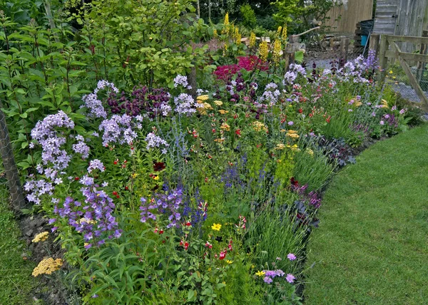 A colourful border in a cottage garden with Phlox and Campanula — Stock Photo, Image