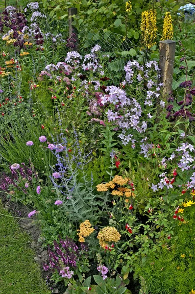 Detalle de un borde colorido en un jardín de cabaña —  Fotos de Stock