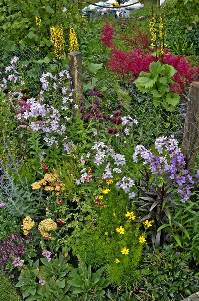 Detail van een kleurrijke border in een cottage tuin — Stockfoto