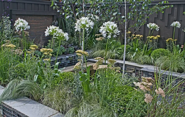 Ένας μικρός κήπος με αυλή με καθίσματα και ανάμεικτες φυτεύσεις — Φωτογραφία Αρχείου