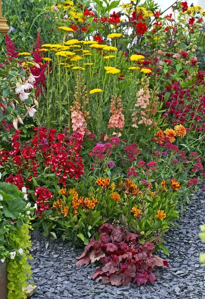 Bordure de jardin colorée avec une magnifique exposition de plantes herbacées — Photo