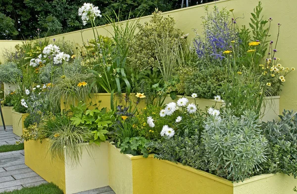 Un jardin contemporain coloré avec des conteneurs plantés — Photo