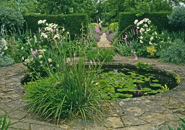 Uma pequena característica da água com waterlilies em um jardim da casa de campo — Fotografia de Stock