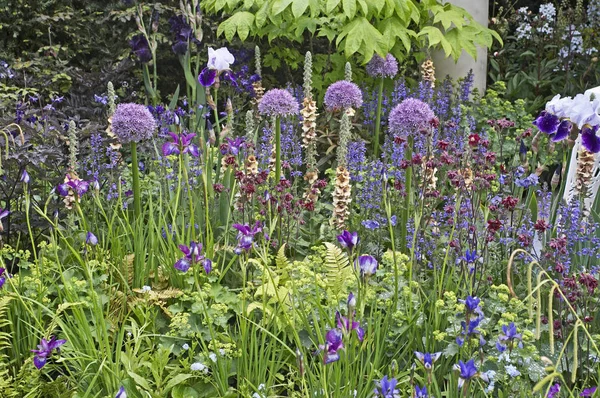 Un jardín diseñado para capturar la vitalidad del Coro del Amanecer — Foto de Stock