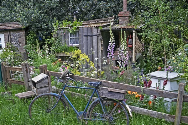 A vadvirág kert egy Fenland Alchemist — Stock Fotó