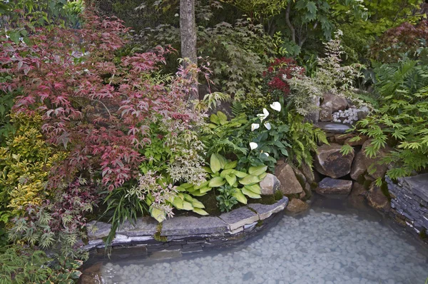 Красивий рай японської води сад, щоб надихнути спогади — стокове фото
