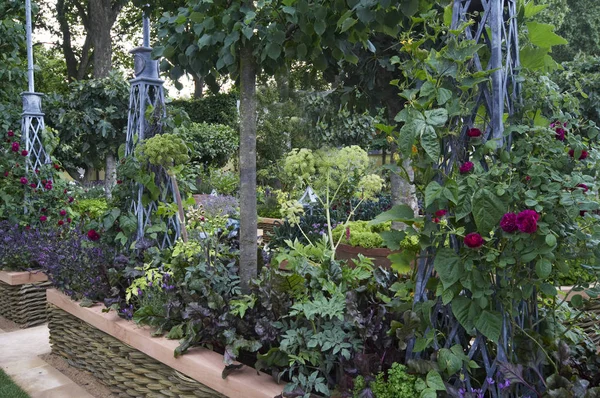 Um moderno jardim de cozinha sustentável com flores ervas e legumes — Fotografia de Stock