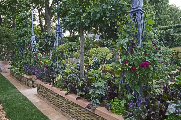 Un moderno huerto sostenible con flores, hierbas y verduras — Foto de Stock