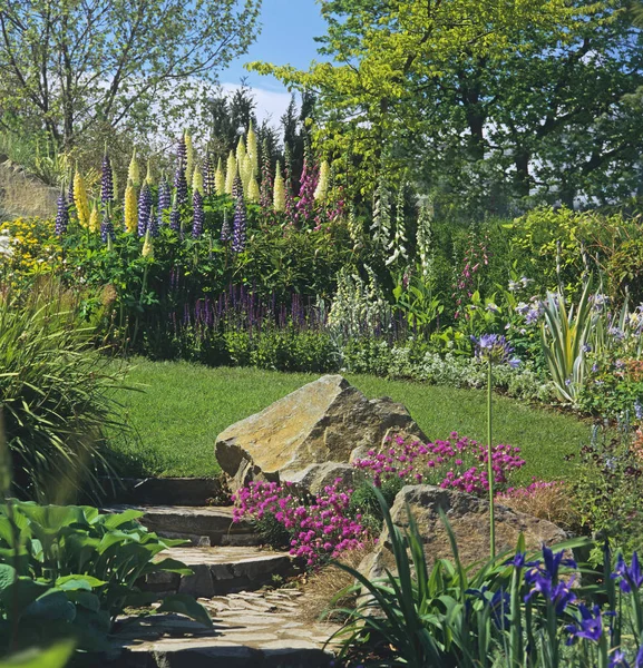 Lupins ve foxgloves dahil karışık çiçek sınırı ile bir kentsel bahçe — Stok fotoğraf