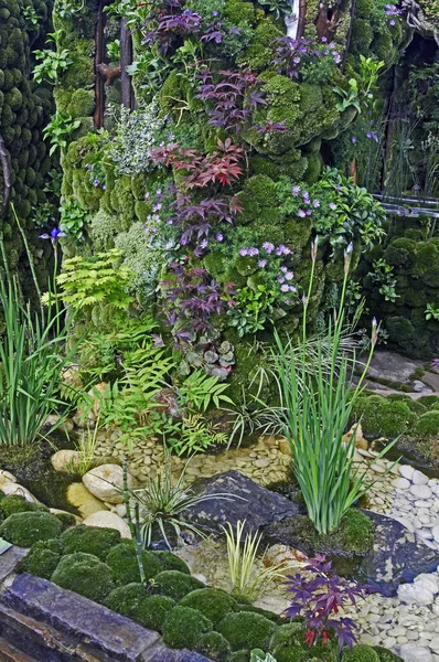 Японський мох і водний сад з квітами і рослинами — стокове фото