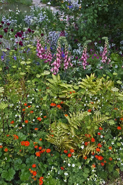 一个富足的花园角落与自然种植与数字 x 默托尼西 — 图库照片