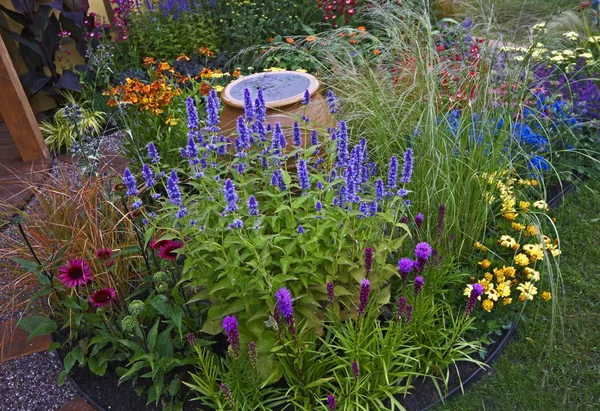 Uma borda de flores colorida com uma variedade de flores em cores brilhantes — Fotografia de Stock
