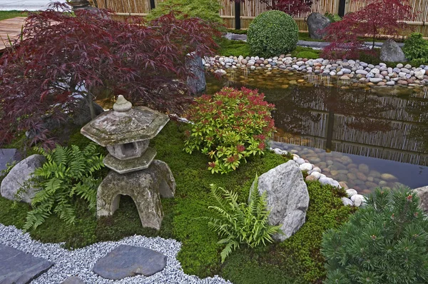 Trädgård i stil med en japansk teträdgård med traditionell plantering — Stockfoto