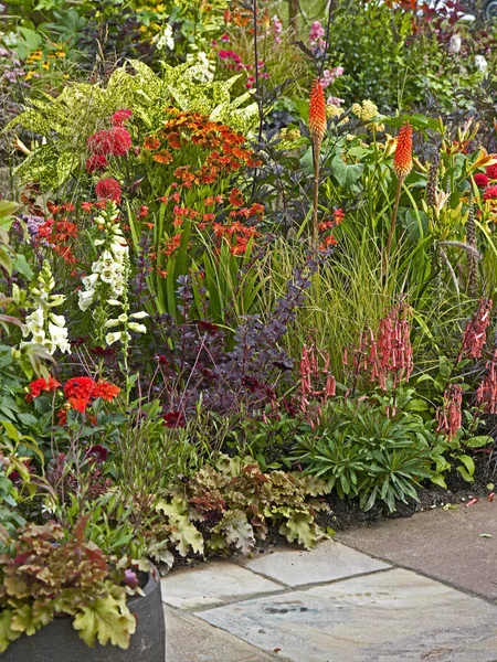 A colourful flower border with mixed planting including Kniphofia and Heleniums — Stock Photo, Image