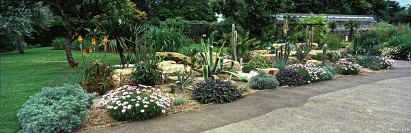 Un giardino desertico con cactus e piante succulente in un Cotswold Wildlife Garden — Foto Stock