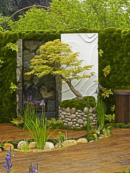 Деталь японського моху сад з Acer, Ірис і дерев'яні настили — стокове фото