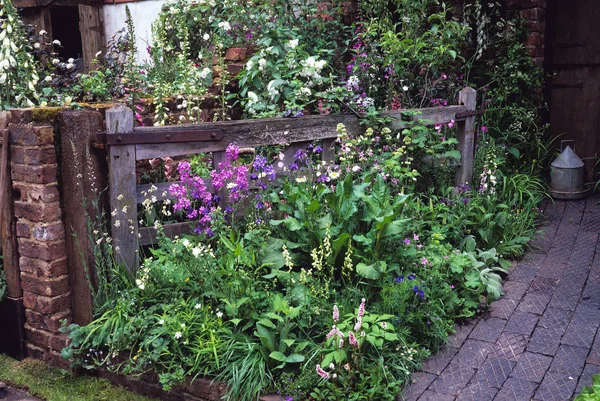 "A régi kapu" kerti parasztház vad természetes virágültetéssel — Stock Fotó