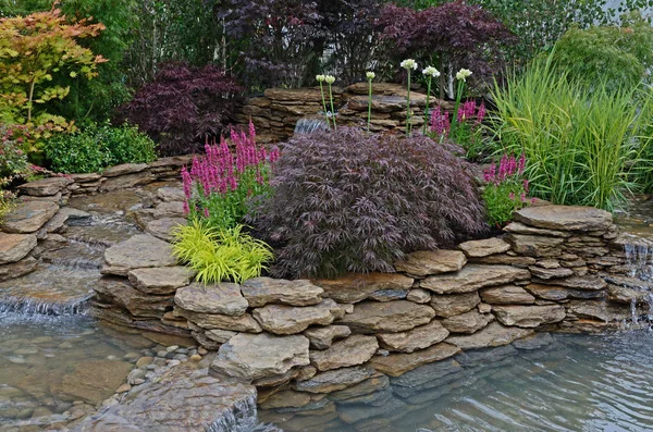 The pond area in an aquatic garden and planted rockery — Stock Photo, Image