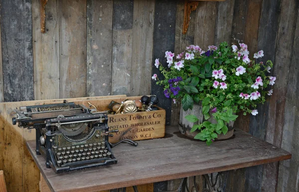 Decorative reclaimed garden features of old plant box an old typwriter and container with flowers