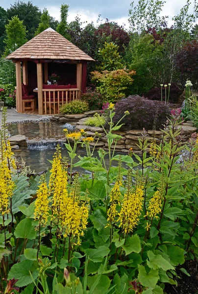 Het vijvergebied in een watertuin en geplant rotsige, Ligulariia en selectie van bloemen, struiken en grassen — Stockfoto