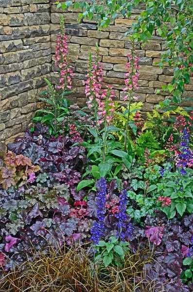 La frontera plantada con terreno mixto que cubre la plantación incluyendo Heuchera y Salvia en un jardín rural —  Fotos de Stock